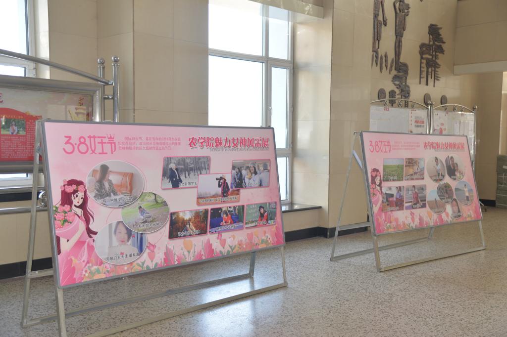 一楼大厅的魅力女神风采展